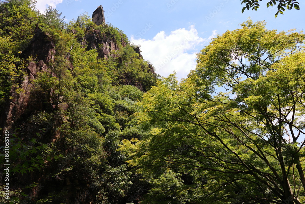Fototapeta premium 岡山県総社市槙谷 夏の豪渓 国指定名勝地