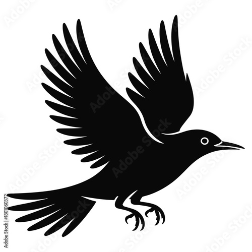 Silhouette of a black bird in flight on white background Keywords: bird, flying, silhouette