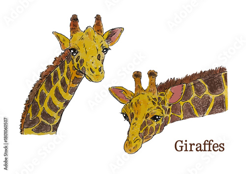 リアルでかわいいキリンのイラストセット