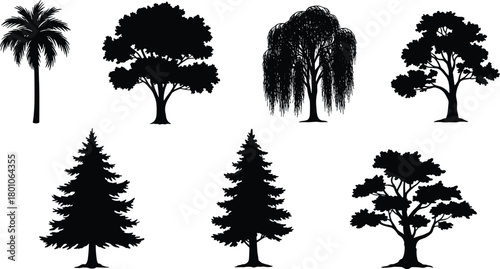Silhouette collection of various tree types, black isolated vector trees including palm, pine, oak, willow, nature forest illustration design