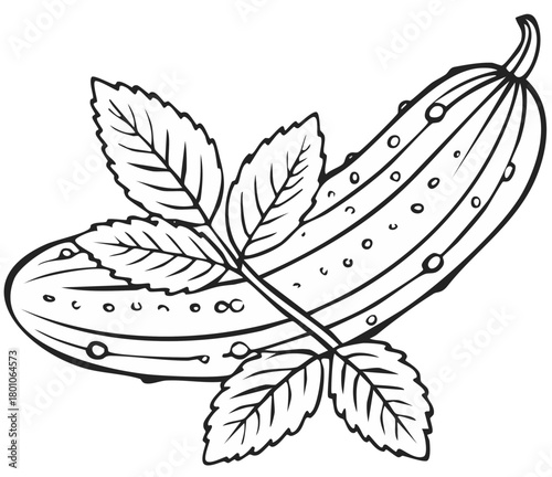 Line art drawing of a cucumber with leaves, symbolizing freshness and healthy eating.