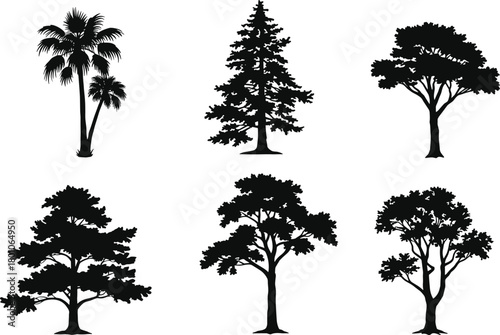 Silhouette collection of tropical and forest trees, black isolated vector trees, palm, pine, oak, nature landscape illustration design