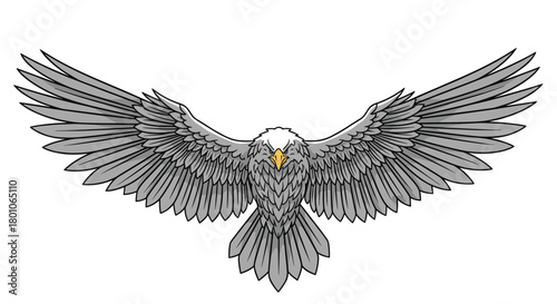 A stylized illustration of an eagle with outstretched wings and a determined gaze, perfect for design and branding projects.