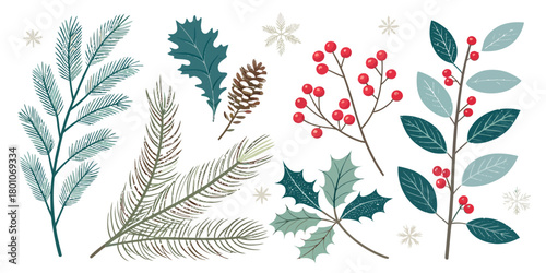 Christmas vector festive winter foliage featuring pine branches holly berries and snowflakes in a seasonal arrangement