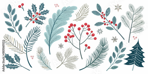 Christmas vector illustration of various winter foliage including holly, berries, pine, and snowflakes on white