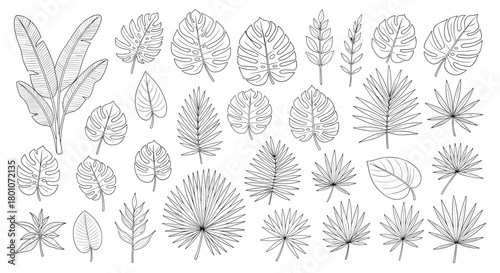 Hand-drawn collection of diverse tropical leaves in black and white line art style, perfect for botanical design elements.