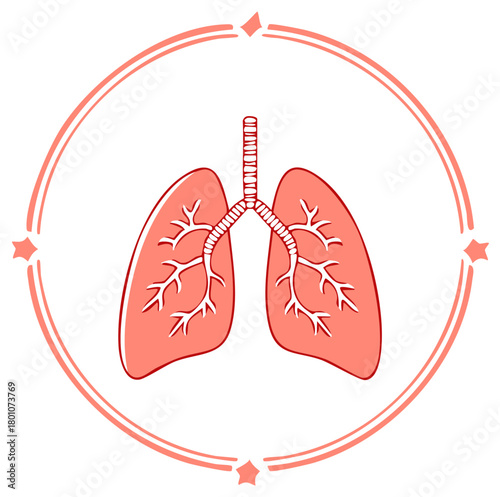 Anatomical lungs drawing with bronchi in decorative pink frame, breathing organ icon