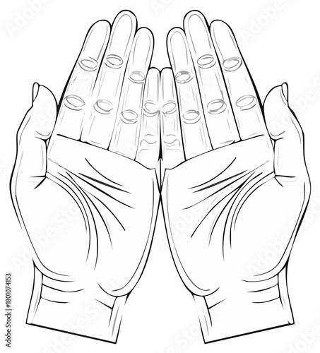 Open Hands Reaching Upwards Outline Two Hands Offering Gesture Hand Drawn Illustration Graphic Art Human Anatomy Design Element