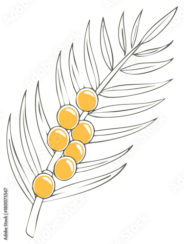 Stylized Sea Buckthorn Branch with Berries and Leaves, Hand Drawn