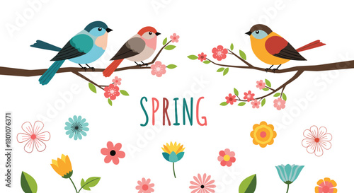 Three colorful cartoon birds perched on blooming tree branches with scattered flowers and the word 'SPRING' on a white background.
