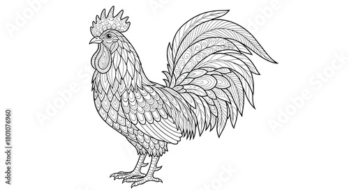 Intricate black and white line art drawing of a majestic rooster with detailed feathers, suitable for coloring books and textile designs.