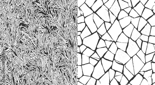 Black and white abstract pattern of grass blades and cracked stone texture vector