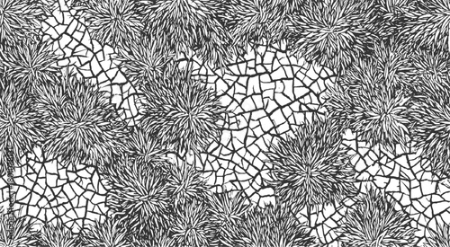 Black and white abstract pattern of spiky plants and cracked earth texture vector