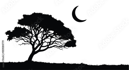 Solitary silhouette of a tree against a bright white sky with a crescent moon.