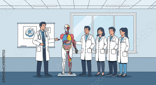 Medical Professionals Collaborating in Anatomy Lesson Showing Human Body Visualization In Clinic