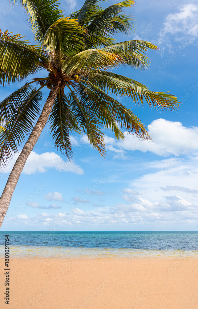 Fototapeta premium Paradise Sunny beach with palms and turquoise sea. Summer vacation and tropical beach concept - Cancun, Mexico