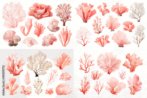 Watercolor coral reef clipart in blush and peach tones. Branch and fan sea plants painted softly, isolated on white for coastal branding, patterns, frames, invitations, and elegant decor.