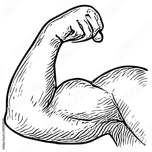 Muscular Arm