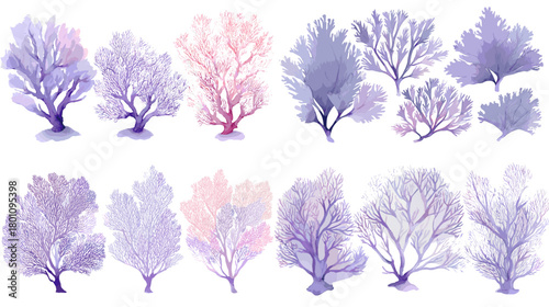 Watercolor sea fan coral set in purple and lilac tones. Delicate gorgonian branches painted softly, isolated on white for patterns, frames, branding, and coastal decor.