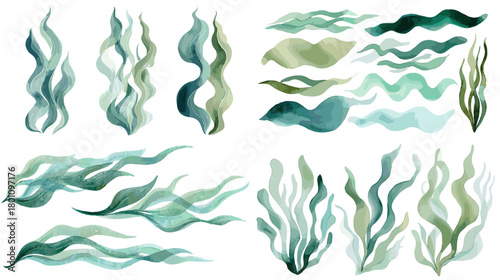 Watercolor seaweed and kelp in teal and mint. Flowing wavy fronds painted softly, isolated on white for borders, frames, patterns, and coastal design projects.