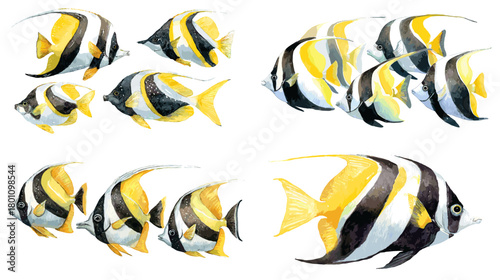 Watercolor bannerfish with bold yellow, black, and white stripes. Tropical reef fish in groups, isolated on white for nautical patterns, posters, and modern decor.