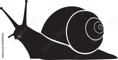 Black silhouette of a snail on a white background mollusk