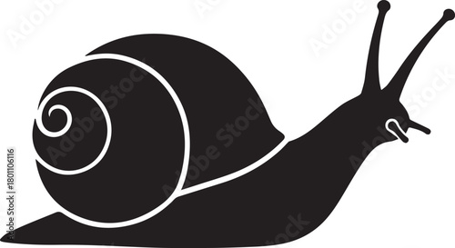 Black Silhouette Of A Snail With Swirl Shell slug mollusk