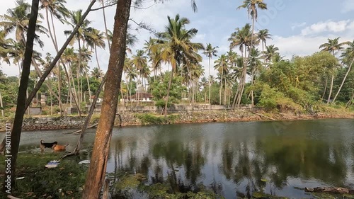 A tranquil freshwater lake at Kappil Beach in Kerala, India, captured on a bright and sunny January day. The calm water reflects the clear sky and surrounding tropical landscape