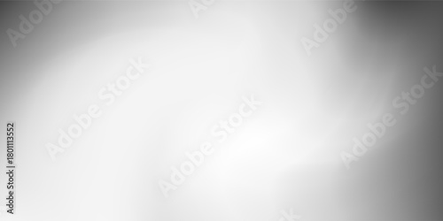 Premium Blank Blurred Texture Illustration shadow Black and white Modern Design. Silver Gray Line Gradient Mesh.