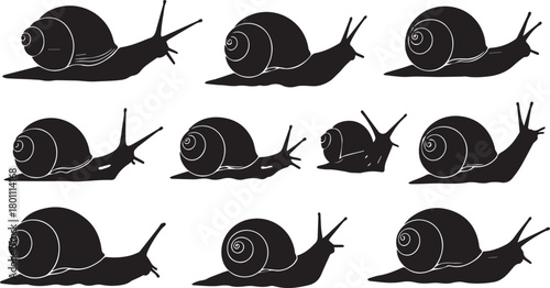Collection of Black Silhouette Snails on White Background