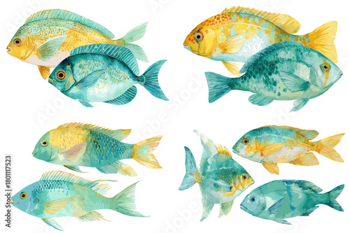 Watercolor tropical fish in teal and yellow with detailed fins and scales, isolated on white for marine design, patterns, stickers, posters, and coastal decor.