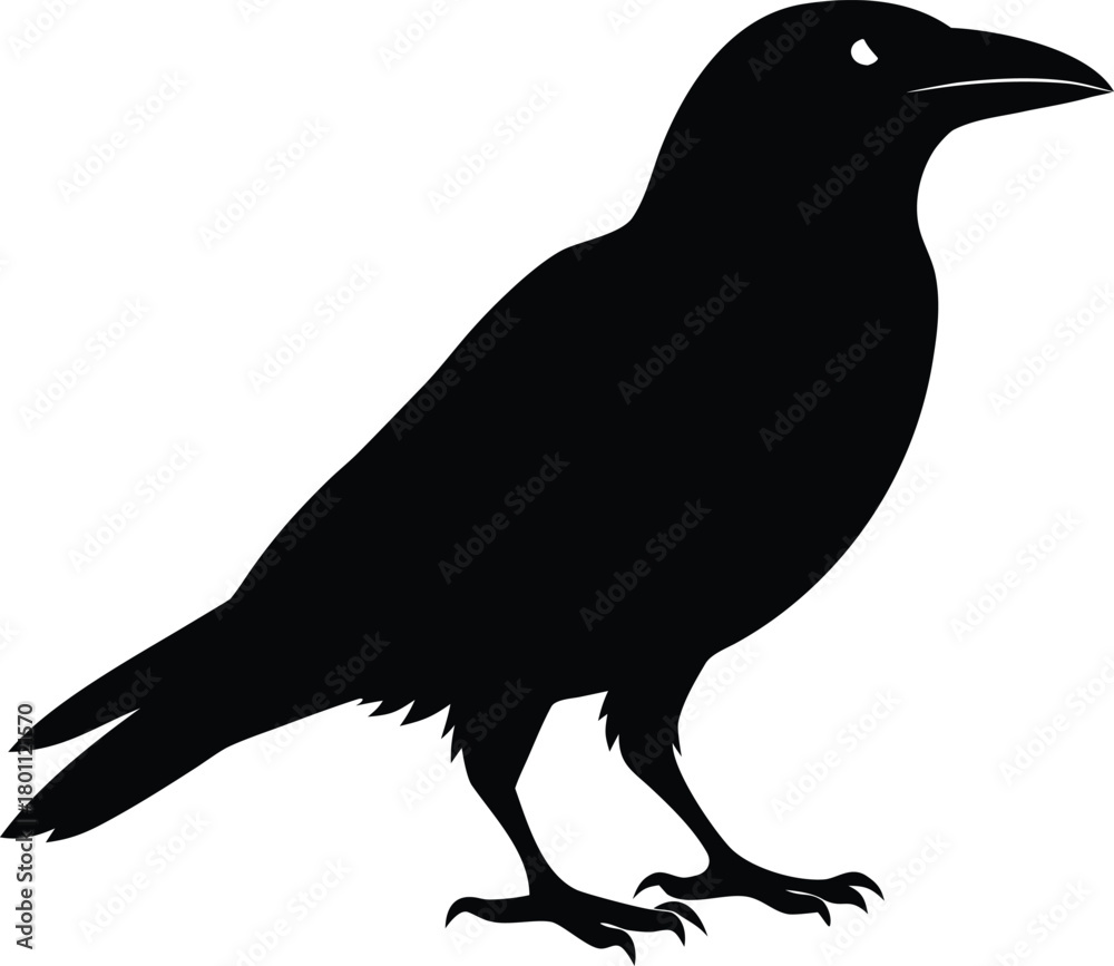 Fototapeta premium Raven Silhouette – Black Crow Bird Vector Illustration