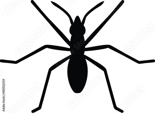 Water Strider Silhouette – Insect Icon Vector Illustration