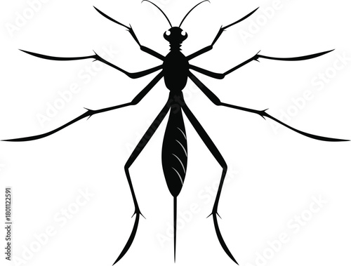 Water Strider Silhouette – Insect Icon Vector Illustration