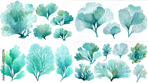 Watercolor seaweed and kelp leaves in teal and aqua tones, isolated on white for ocean themes, patterns, invitations, and coastal branding.