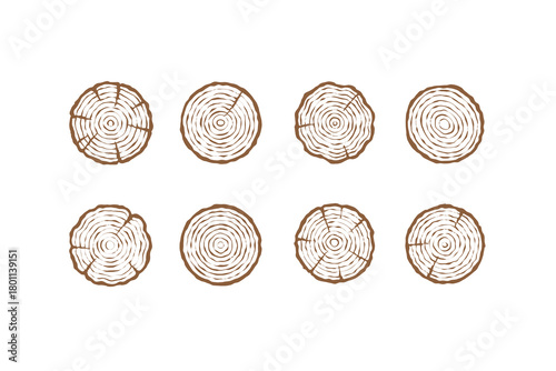 Wall Mural Vintage tree wooden cut vector hand drawn linear set collection, circle print on white, texture trunk age