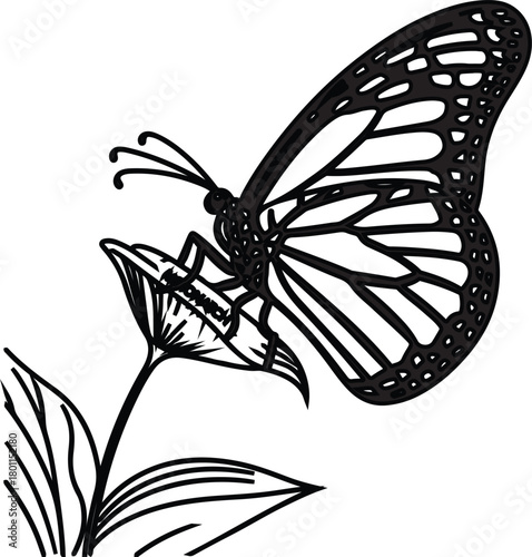 Mysterious dark butterfly wing vector illustration showcasing intricate patterns and delicate structure