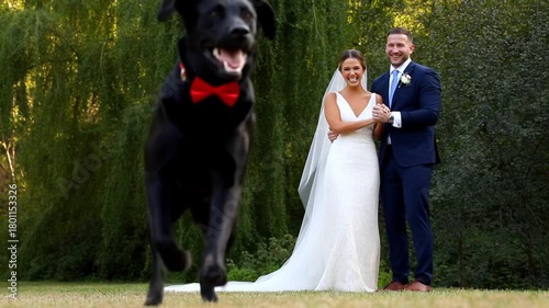 A happy couple poses with their dog on their wedding day Stock Video