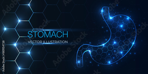Abstract 3D wireframe of human stomach organ, low poly geometric style. Concept gastric care, cancer, pain, science, and technology. Vector illustration.