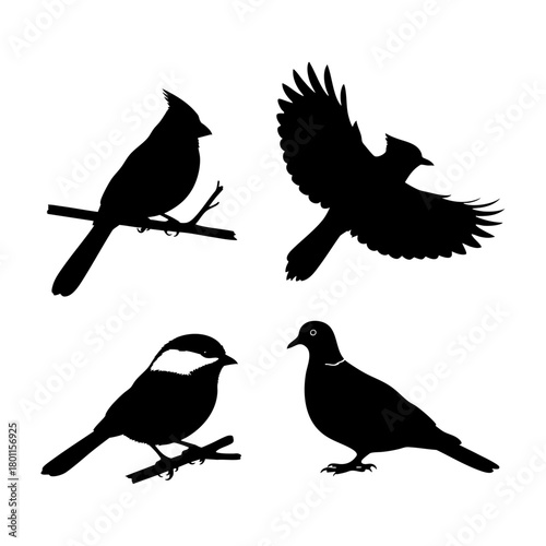 Winter Bird Silhouette Set Cardinal Blue Jay Chickadee Dove