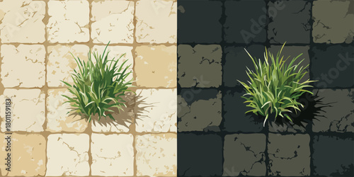 Detailed vector illustration showcasing a vibrant green grass tuft growing on contrasting light and dark cracked tile backgrounds.