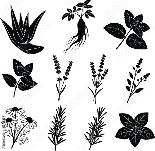 Medicinal Herbs Silhouette Icon Set