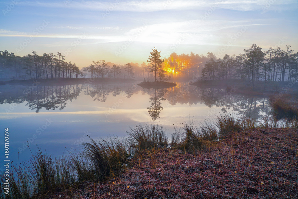 Fototapeta premium sunrise at the forest lake