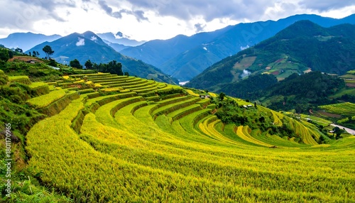 Lush Rice Terraces of Sapa, Vietnam - A Breathtaking Landscape.