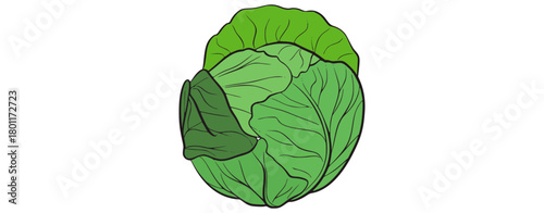 Green cabbage leaves vegetable food