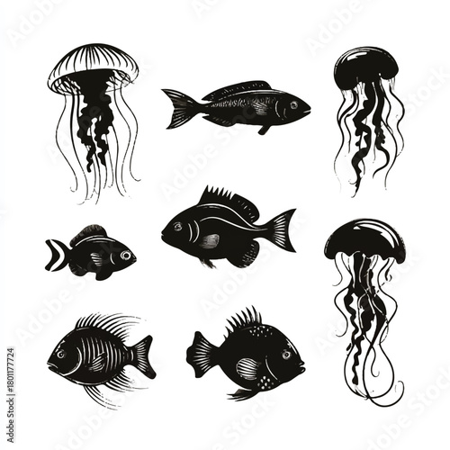 Black and white marine life illustrations featuring fish and jellyfish