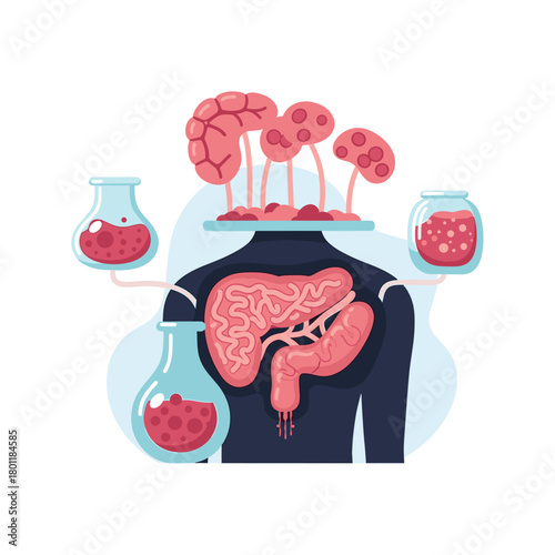 Illustration of the human digestive system with the brain, intestines, and stomach isolated on, showcasing the connection between the gut and the brain