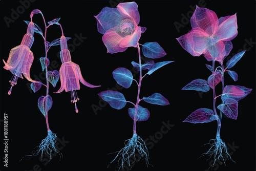 Floral Anatomy Artistic Render of Pink and Blue Flowers on Black Background
