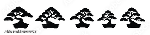 five bonsai tree silhouettes isolated on white background 