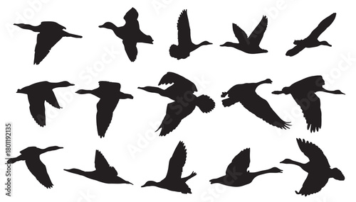 goose vector silhouette icon set 